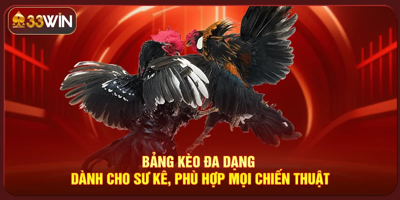 Đá Gà 33Win Đá Gà 33Win