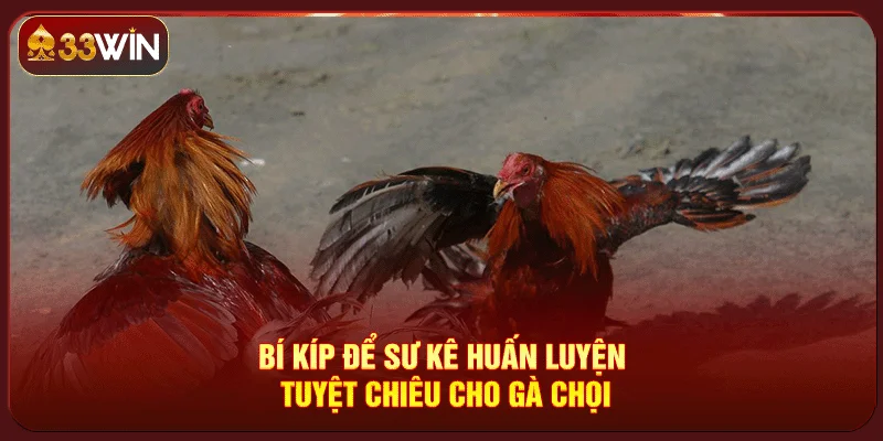 Các Thế Đòn Trong Đá Gà Các Thế Đòn Trong Đá Gà