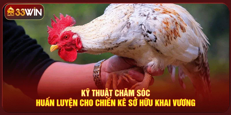 Vảy Gà Khai Vương Vảy Gà Khai Vương