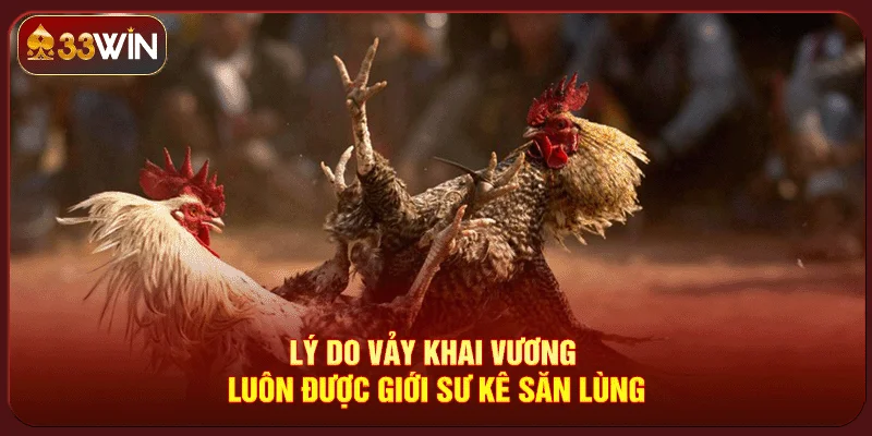 Vảy Gà Khai Vương Vảy Gà Khai Vương