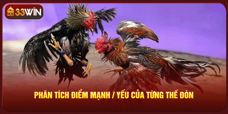 Các Thế Đòn Trong Đá Gà Các Thế Đòn Trong Đá Gà