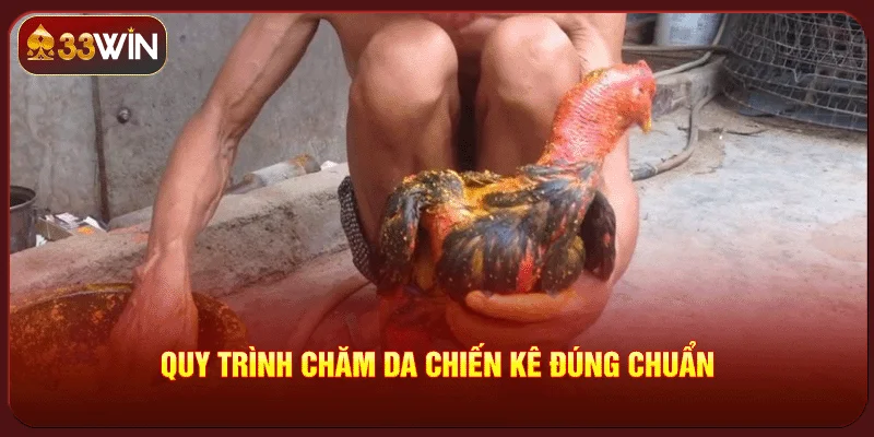 Cách Om Bóp Gà Chọi Đúng Cách Om Bóp Gà Chọi Đúng