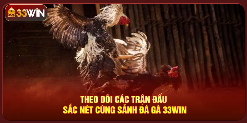 Đá Gà 33Win Đá Gà 33Win